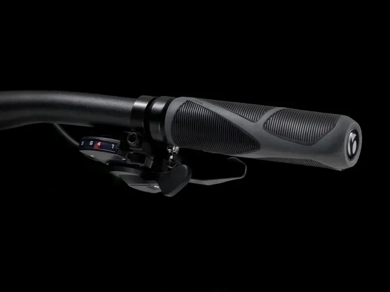 Trek Dual Sport 2 Hybrid Bike in Lithium Grey-3