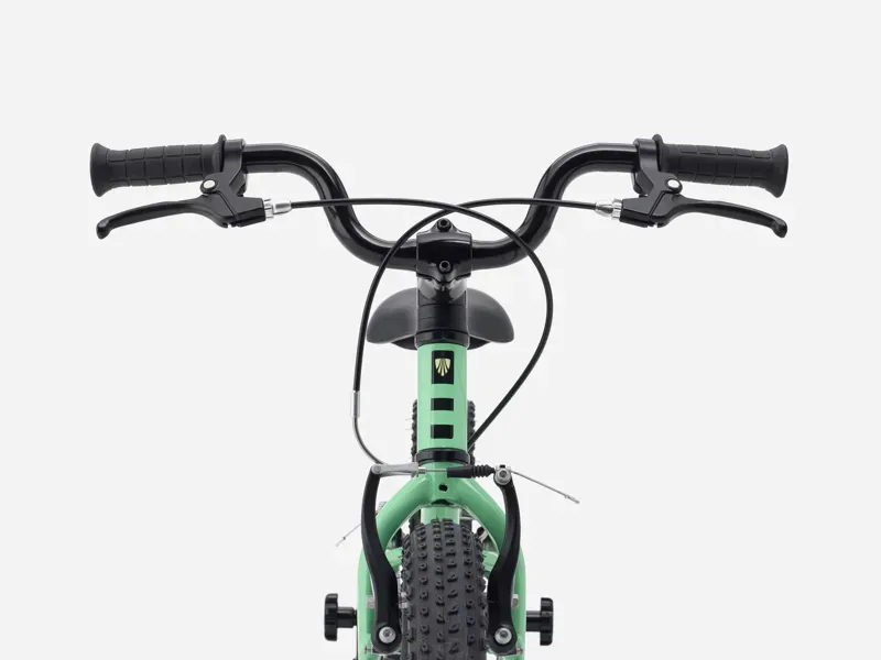 Trek Precaliber 16 Freewheel Children's Bike in Green Flash-4