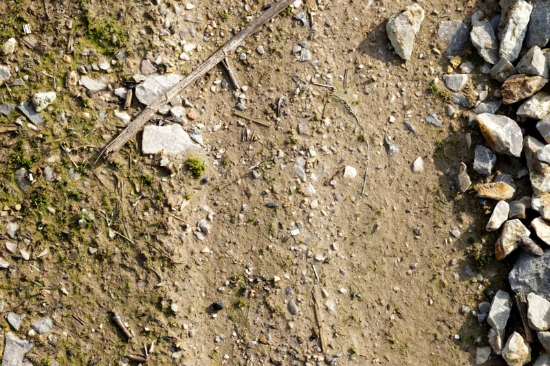 Vittoria Terreno T60 Mixed Gravel Endurance G2.0 Tyre Brown-4