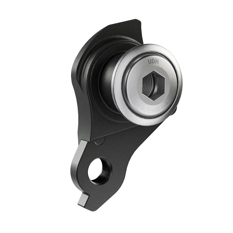 SRAM Universal Derailleur Hanger - UDH - in Black with Silver Bolt