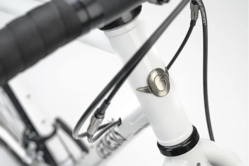 Genesis Croix De Fer 10 Gravel Bike in Whitehouse Family-3