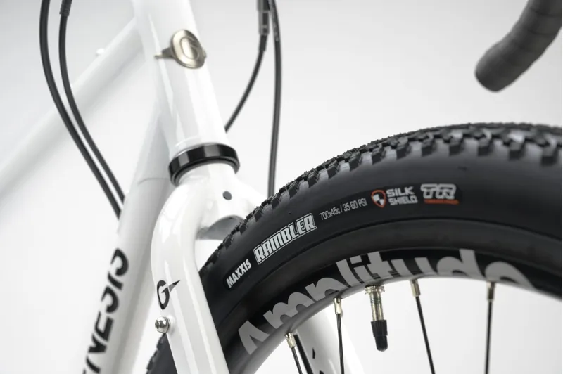 Genesis Croix De Fer 10 Gravel Bike in Whitehouse Family-5