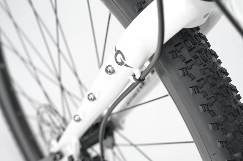 Genesis Croix De Fer 10 Gravel Bike in Whitehouse Family-10