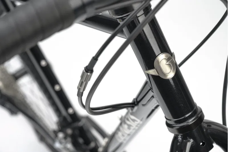 Genesis Croix De Fer 20 Gravel Bike in Burt Bachablack-3