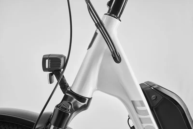 Diamant Zing Trip Core.II 540 Lowstep Electric Bike in Olivbraun Metallic-1