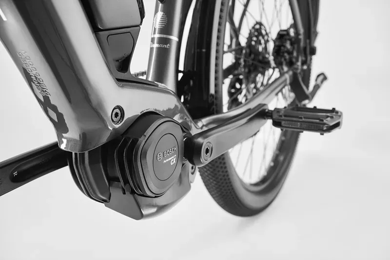 Diamant Zing Trip Core.II 540 Lowstep Electric Bike in Olivbraun Metallic-2